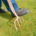 How Long Should You Water Your Lawn