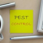 9 Tips for Hiring the Best Pest Control Company in Naples, FL 3 Tips for Hiring the Best Pest Control Company in Naples FL