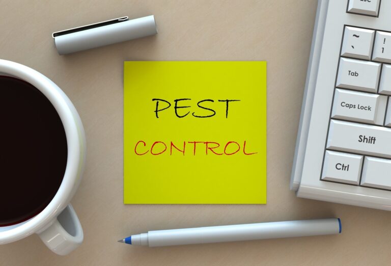 9 Tips for Hiring the Best Pest Control Company in Naples, FL