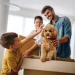 The role of insurance in a move while shifting home 3 The role of insurance in a move while shifting home