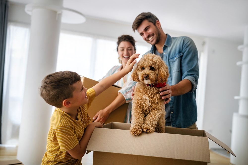The role of insurance in a move while shifting home