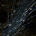 Amazon Delivery Truck Accident