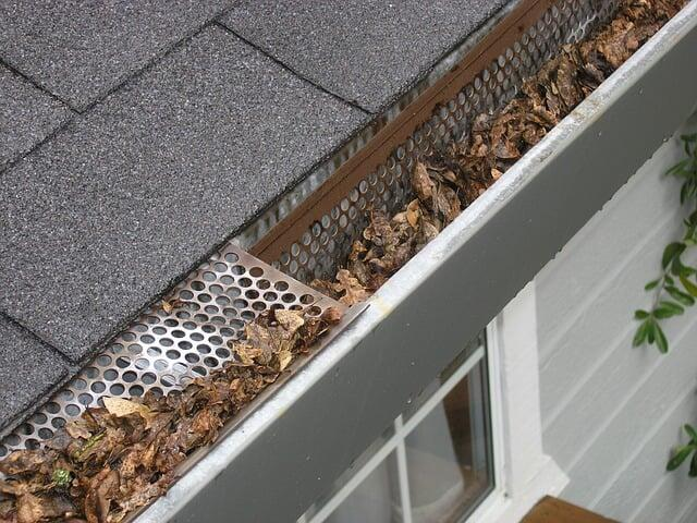 An Ultimate Guide to Choosing the Right Gutter Solutions for Your Home