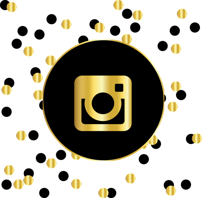 7 Best Instagram viewer and downloader websites