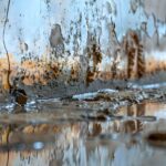 Waterproof a Basement on Any Budget