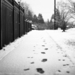 Effective Strategies to Maintain Ice Free Sidewalks